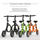 Ultralight Foldable Electric Bike